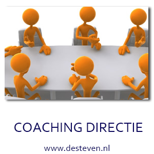 individuele coaching directie, ondernemers of managementteam
